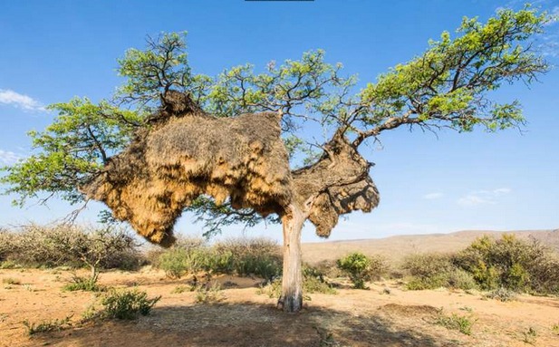 秋高气爽 秋高气爽